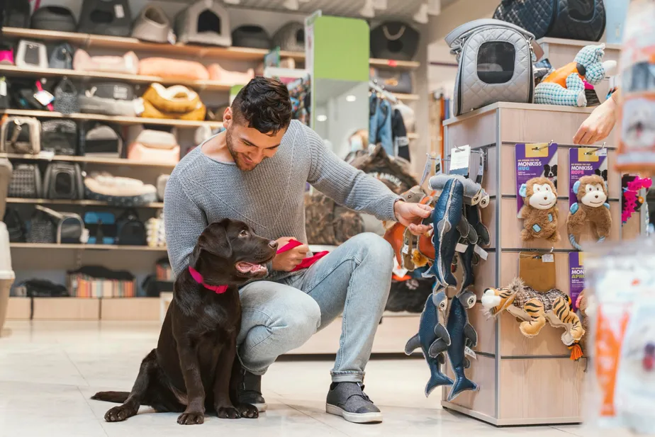 O Crescente Mercado Pet no Brasil: Oportunidades, Tendências e o Futuro da Indústria Canina