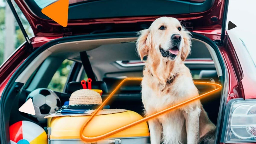 Viajar com seu Cachorro: Dicas Essenciais para uma Aventura Inesquecível e Segura com a Dr.K9