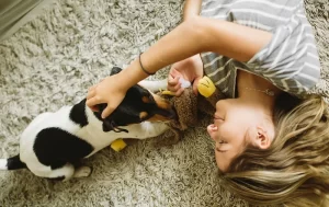 Vida em Apartamento para Cães: Desafios e Soluções Abrangentes para o Bem-Estar Canino em Ambientes Urbanos