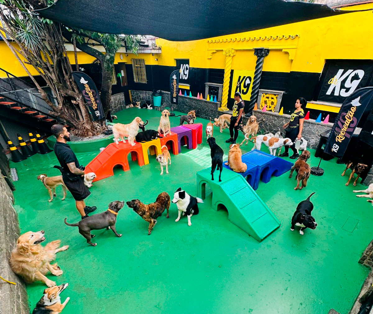  Creches Caninas Modernas: Mais que um Espaço, um Centro de Bem-Estar e Desenvolvimento para Cães na Mooca, SP
