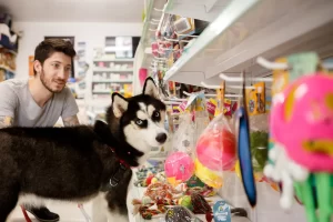 Mercado pet cresce e microempreendedores ampliam presença com novidades e tecnologia