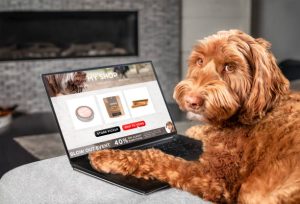 Inovação e Mercado: Tendências e Oportunidades no Setor Pet Food