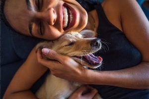 Ter um pet pode valer mais que meio milhão por ano em felicidade, revela estudo britânico